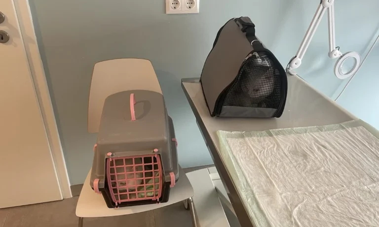 PatiVet Kleintierpraxis in Hannover Mitte, prakt. Tierärztin Dr. Hacer Kayaçelebi