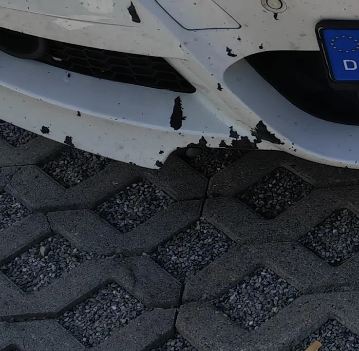 Pfalzgraf Autolackiererei