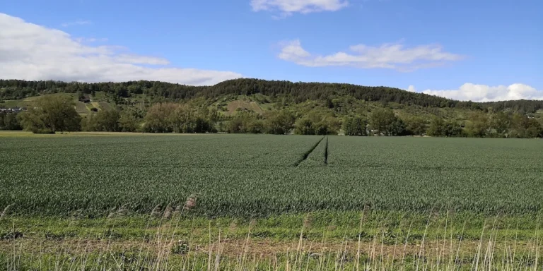 Pferde- und Kleintierpraxis Domäne Ammerhof