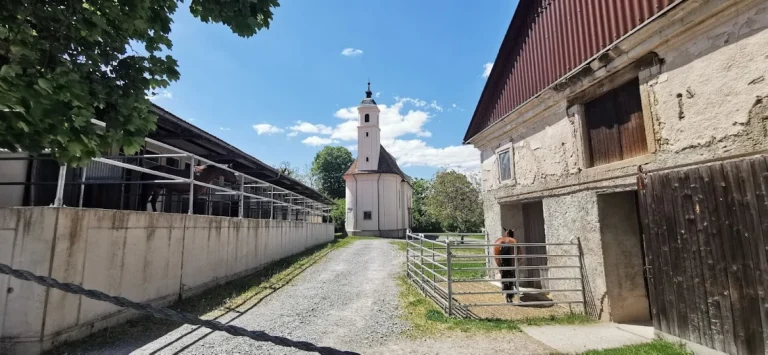Pferde- und Kleintierpraxis Domäne Ammerhof