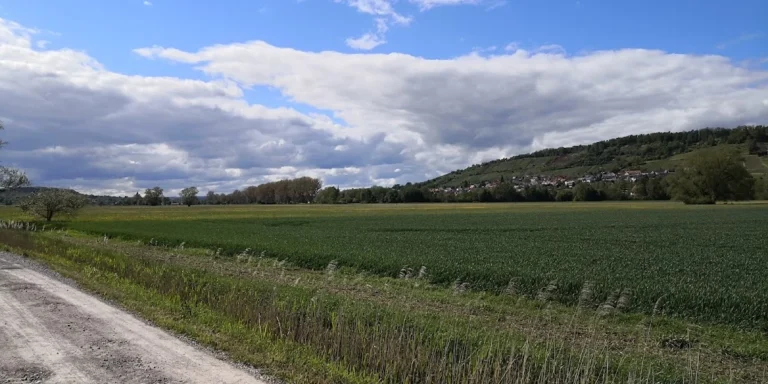 Pferde- und Kleintierpraxis Domäne Ammerhof