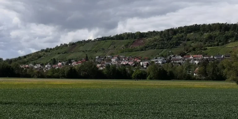 Pferde- und Kleintierpraxis Domäne Ammerhof