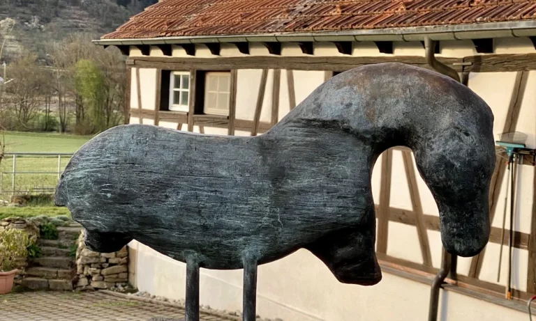 Pferde- und Kleintierpraxis Domäne Ammerhof
