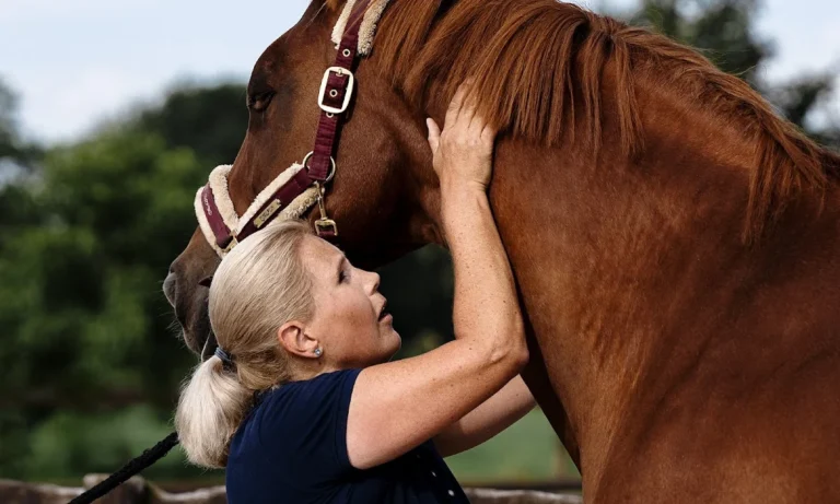 Pferdeosteopathie Julia Knogler