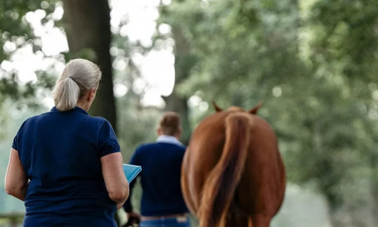 Pferdeosteopathie Julia Knogler