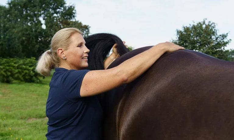 Pferdeosteopathie Julia Knogler