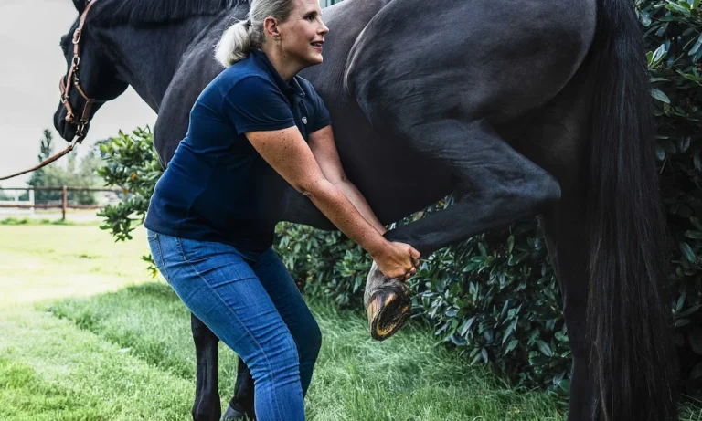 Pferdeosteopathie Julia Knogler