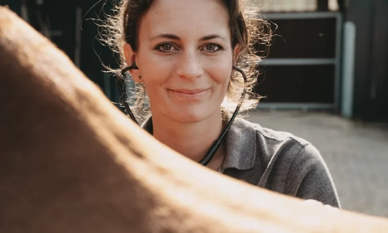 Pferdepraxis Alstertal - Pferdetierarzt in Hamburg- Chiropraktik