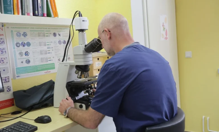 Praxis Dr. med. vet. Kim Oliver Heckers - Praxis für Kleintiere, Vögel & Reptilien - Kiel