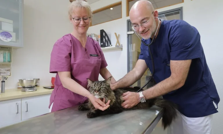 Praxis Dr. med. vet. Kim Oliver Heckers - Praxis für Kleintiere, Vögel & Reptilien - Kiel