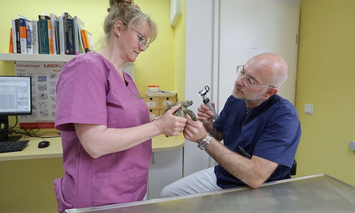 Tierarzt Praxis Dr. med. vet. Kim Oliver Heckers – Praxis für Kleintiere, Vögel & Reptilien – Kiel Kiel