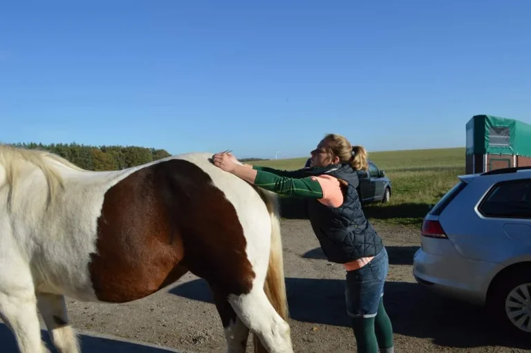 Pro Tiergesundheit- Tierphysiotherapie/-osteopathie, Tierheilpraktiker