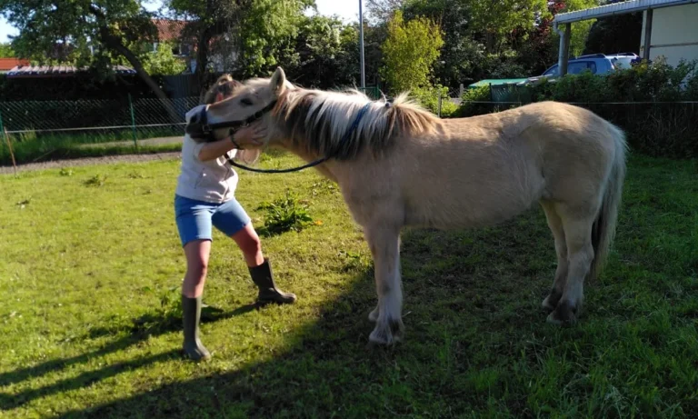 Pro Tiergesundheit- Tierphysiotherapie/-osteopathie, Tierheilpraktiker