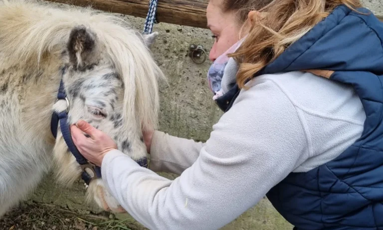 Pro Tiergesundheit- Tierphysiotherapie/-osteopathie, Tierheilpraktiker