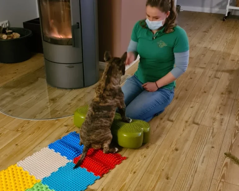 Pro Tiergesundheit- Tierphysiotherapie/-osteopathie, Tierheilpraktiker