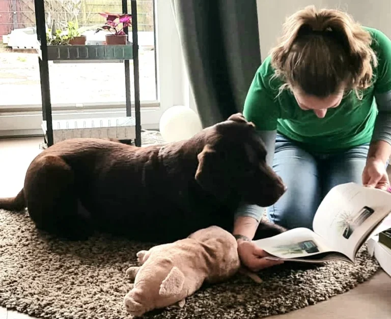 Pro Tiergesundheit- Tierphysiotherapie/-osteopathie, Tierheilpraktiker