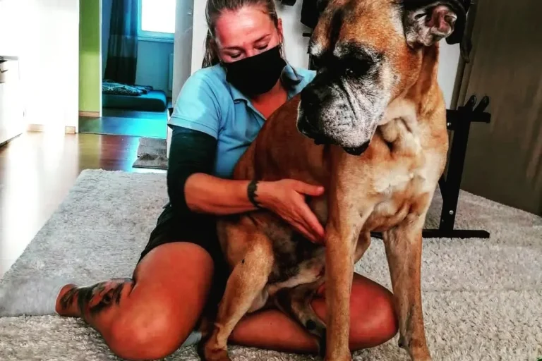 Pro Tiergesundheit- Tierphysiotherapie/-osteopathie, Tierheilpraktiker