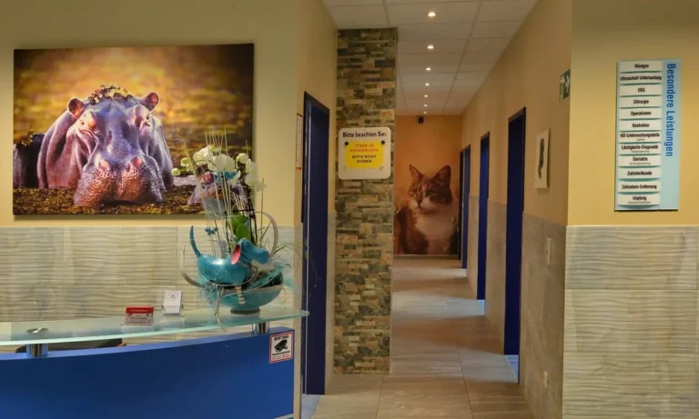 Rafael Melner-Biniszkiewicz