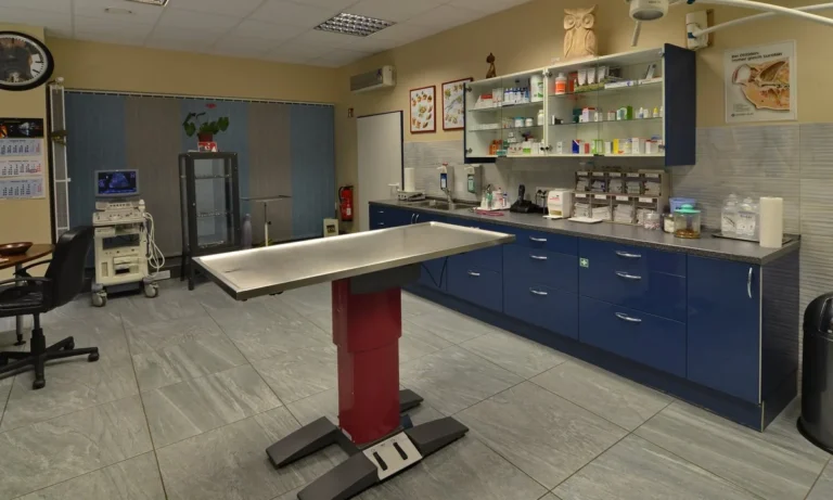 Rafael Melner-Biniszkiewicz