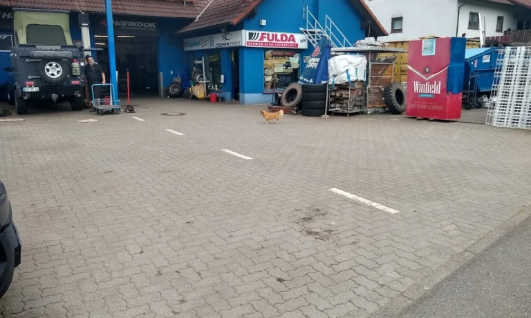 Reifen Pfaff Inh.: Andreas Wissel