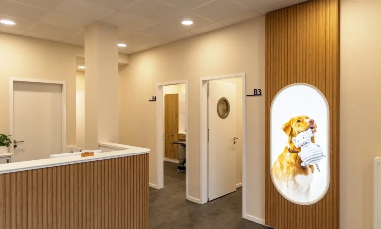 Rex Tierarztpraxis Hamburg-Winterhude