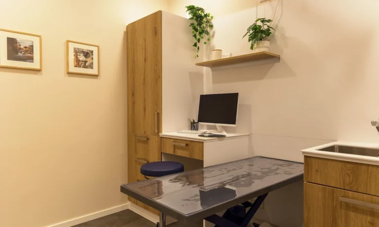 Rex Tierarztpraxis Hamburg-Winterhude