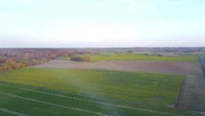 Rollladen Detlev Magel