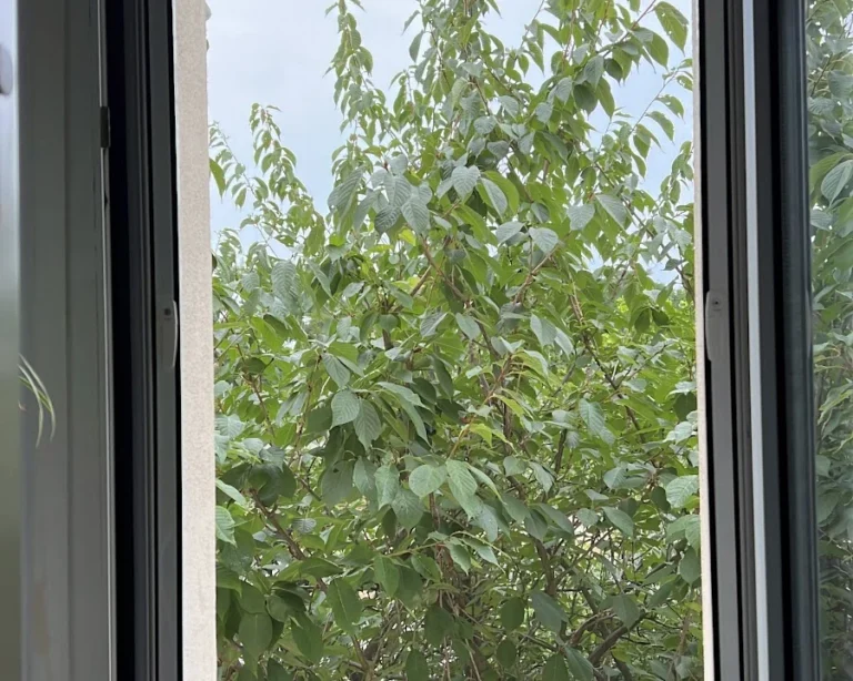 Rollladen & Insektenschutz Service