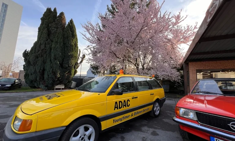 Sander´s GmbH KFZ-Meisterbetrieb