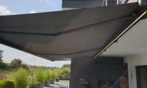 Sonnendieb UG (haftungsbeschränkt)