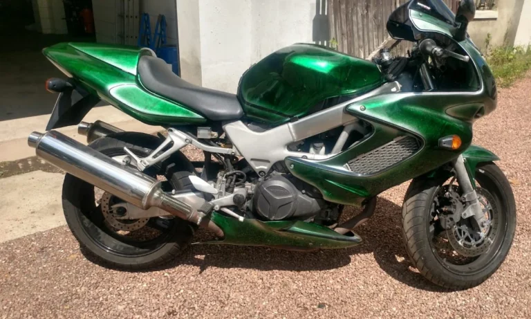 Spiegel & Tanneberger GbR Die Gilde