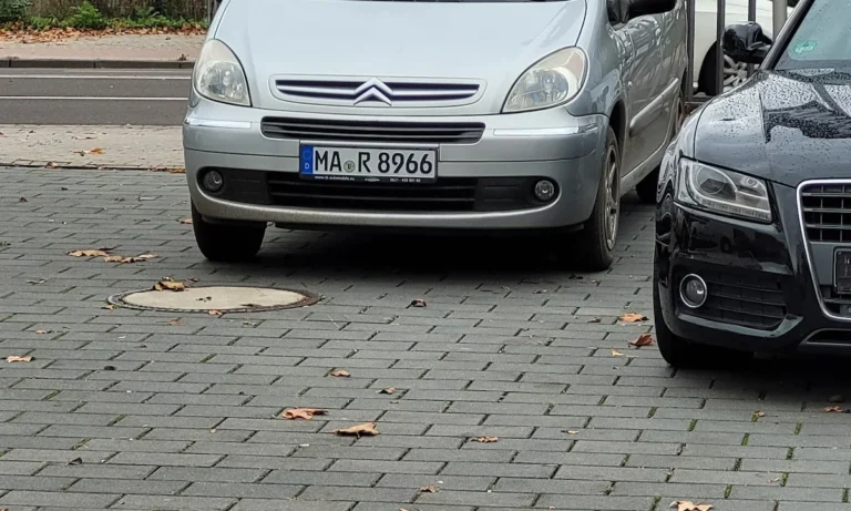 Stern Autoservice-Autoglas-Autosattlerei Ludwigshafen