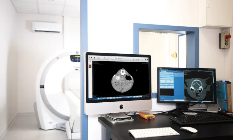 Tagesklinik für Kleintiere / Koch & Land