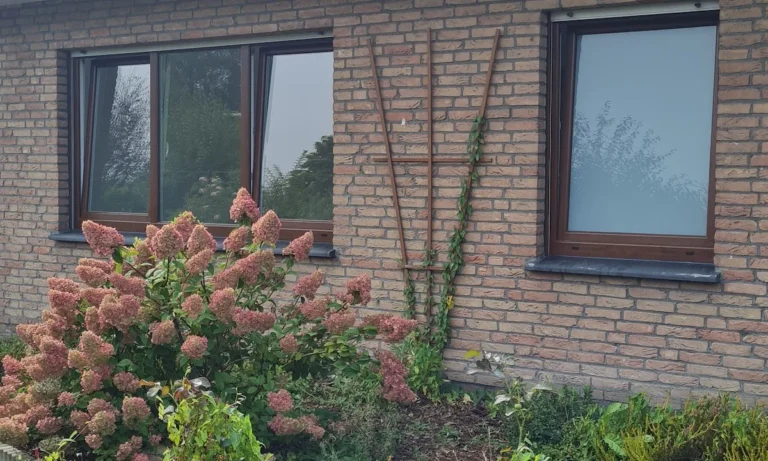 Tasyer Fensterbau
