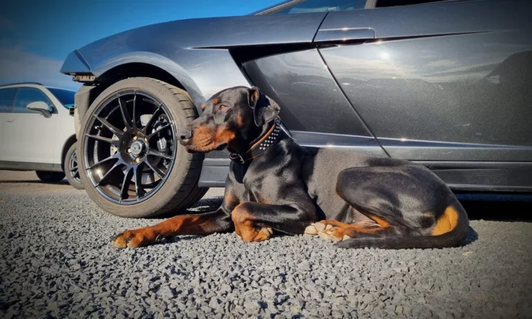 TB Motorentechnik - KFZ Werkstatt Meisterbetrieb
