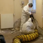 Thomas Brux Malermeister