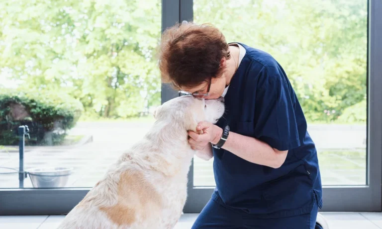 Tierarzt Aachen, Tierärztliches Zentrum für Chirurgie Dr. Kinzel Aachen