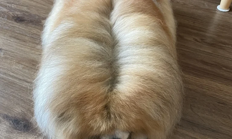 Tierarzt Bergedorf - Vetzentrum