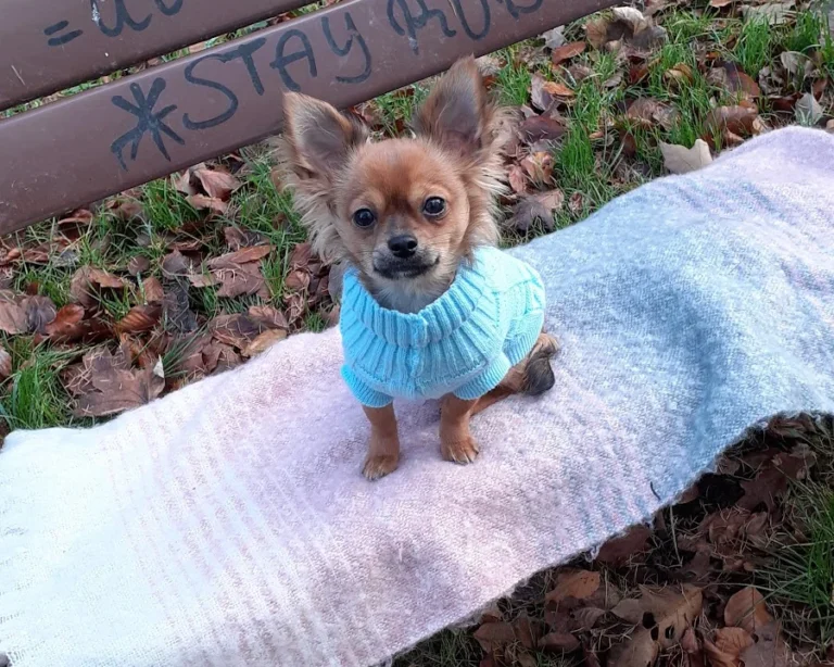 Tierarzt Hamburg Bergedorf, Bergedorfer Kleintierpraxis