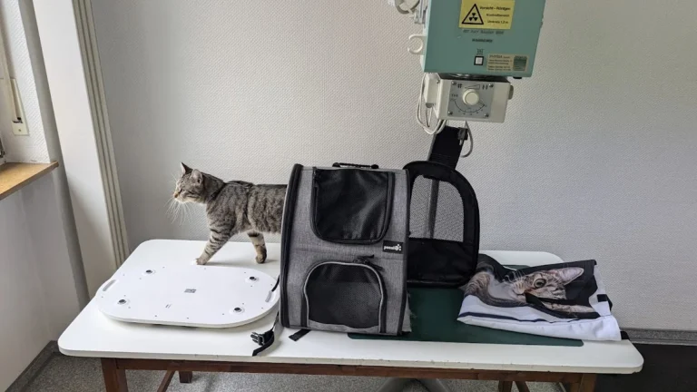 Tierarzt Hans Peter Bast