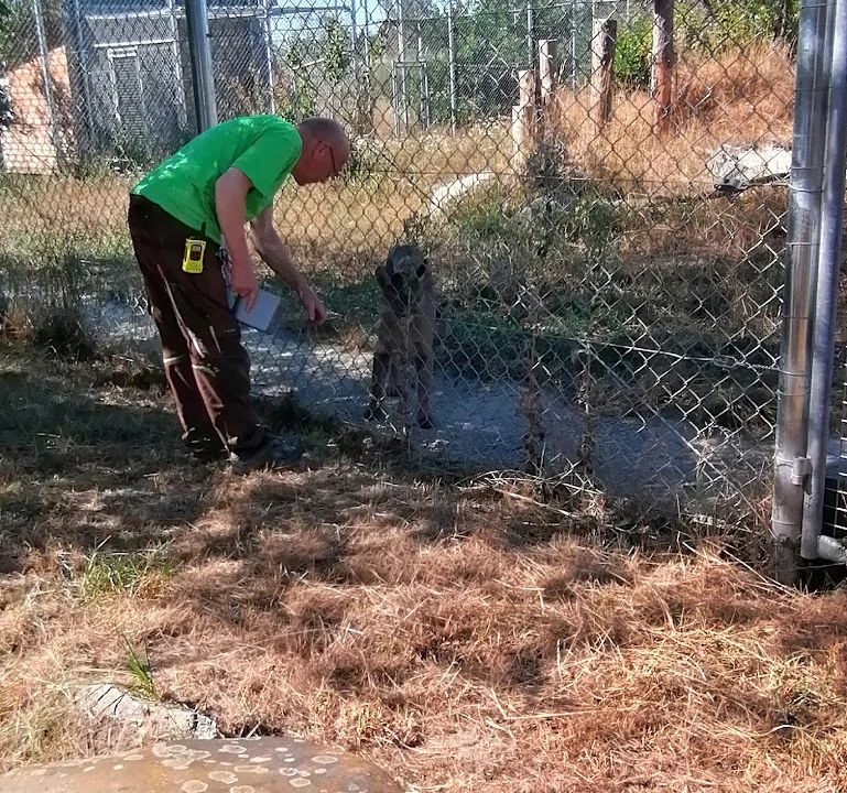 Tierarzt Hans Peter Bast