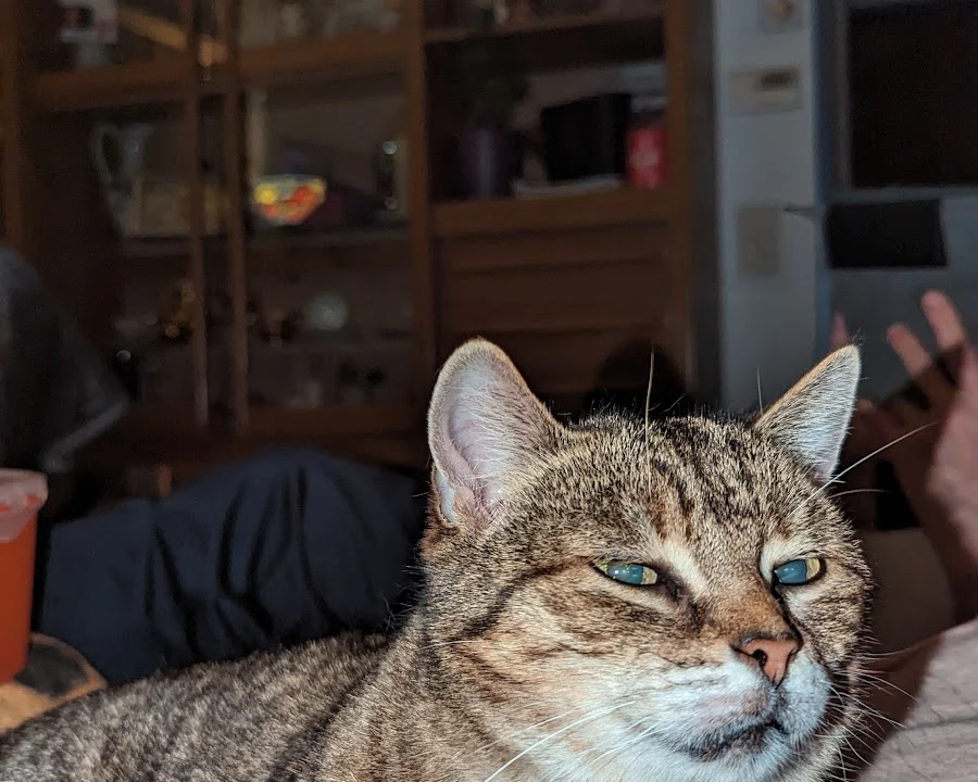 Tierarzt Tierarzt Hans Peter Bast Koblenz