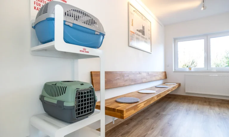 Tierarzt Kiel, Kleintierpraxis Dr. Melfsen-Jessen