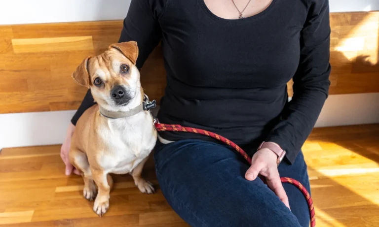 Tierarzt Kiel, Kleintierpraxis Dr. Melfsen-Jessen