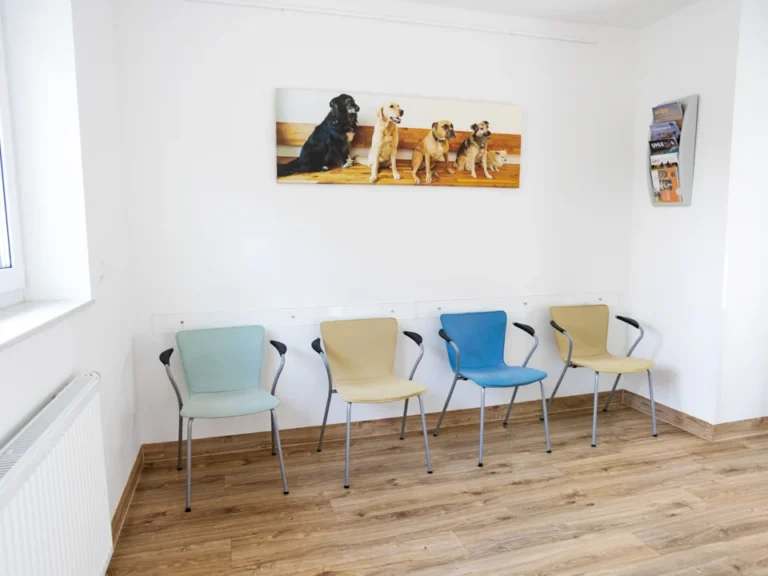 Tierarzt Kiel, Kleintierpraxis Dr. Melfsen-Jessen