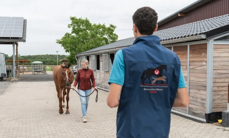 Tierarzt Maximilian Welter - Manualtherapie für Pferd & Hund