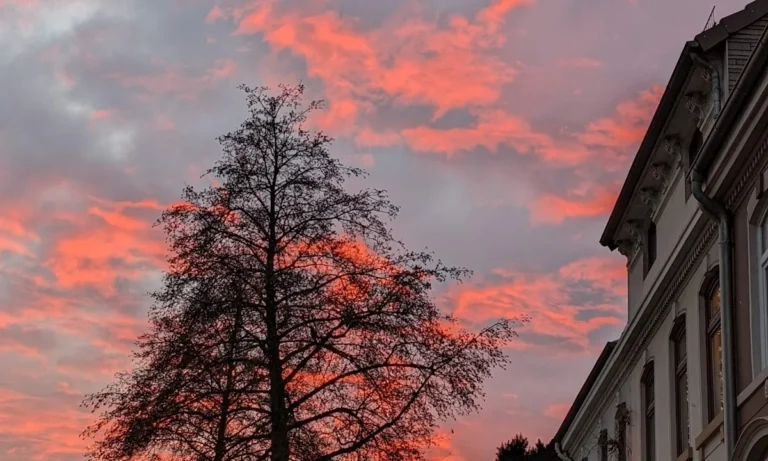 Tierarzt Pabst, Marcus