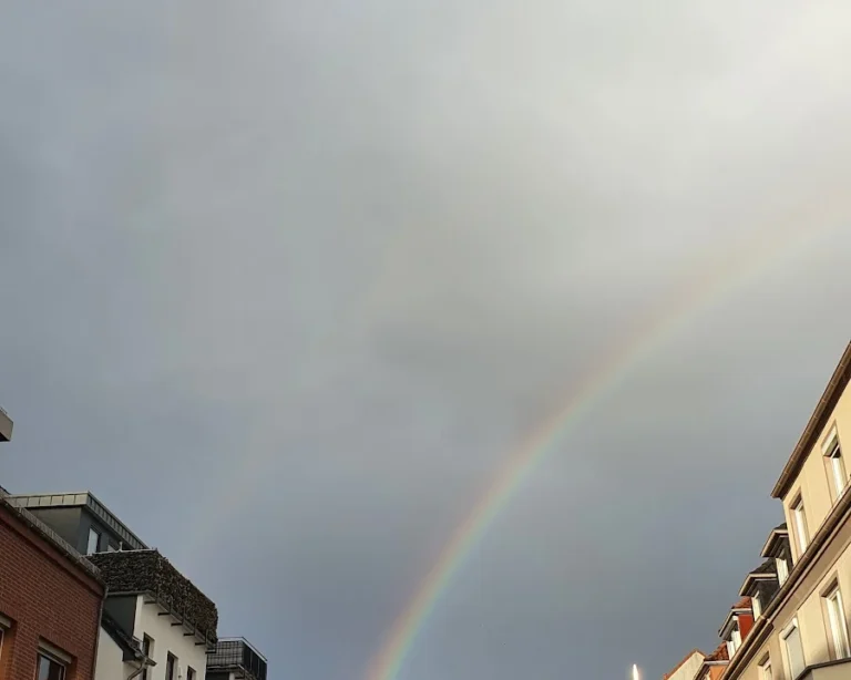 Tierarzt Pabst, Marcus