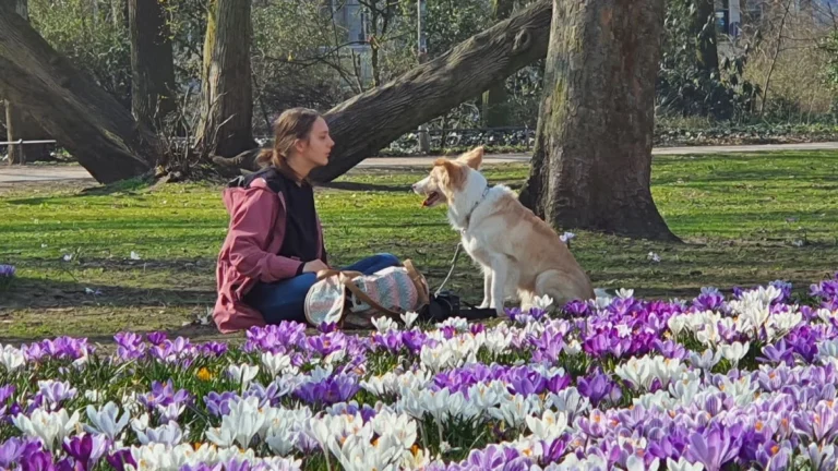 Tierarzt Pabst, Marcus