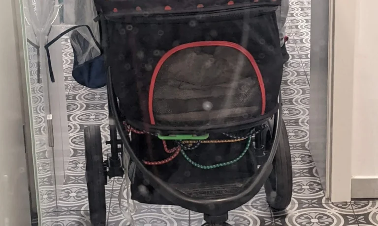 Tierarzt Pabst, Marcus